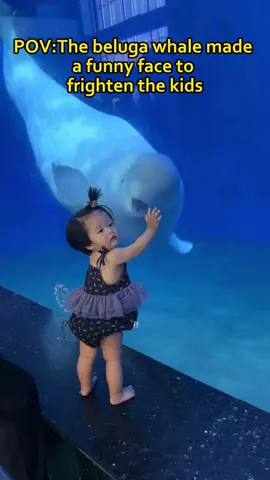 POV:The beluga whale made a funny face to frighten the kids #china #chinafun #beluga #funny #kids #aquarium #白鲸吓唬小朋友 #海洋馆 #白鲸