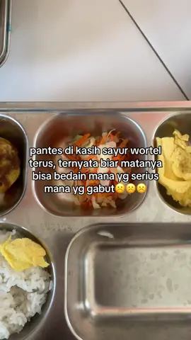 #prabowo #fyppppppppppppppppppppppp #makanbergizigratis #makasihpakprabowo 
