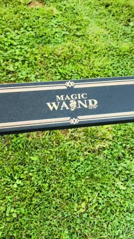 #harrypotterwand #wand #magic #christmas #tiktok 