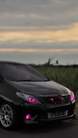 yang pink