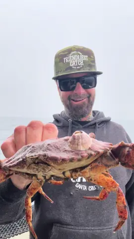 Barnacle De Chronicles “The Party Hat” #asmr #friendliestcatch #barnaclechronicles 