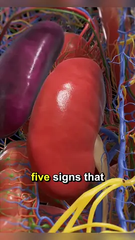 5 signs that you may already have kidney failure #DidYouKnow #kidneyfailure #kidney #kidneydisease #healthtips 