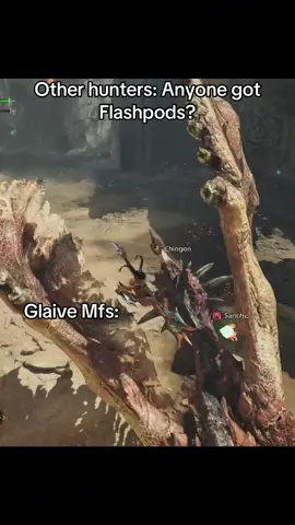 Sky belong to us. #monsterhunterrise #monsterhunterwilds #monsterhunterworld #glaive 