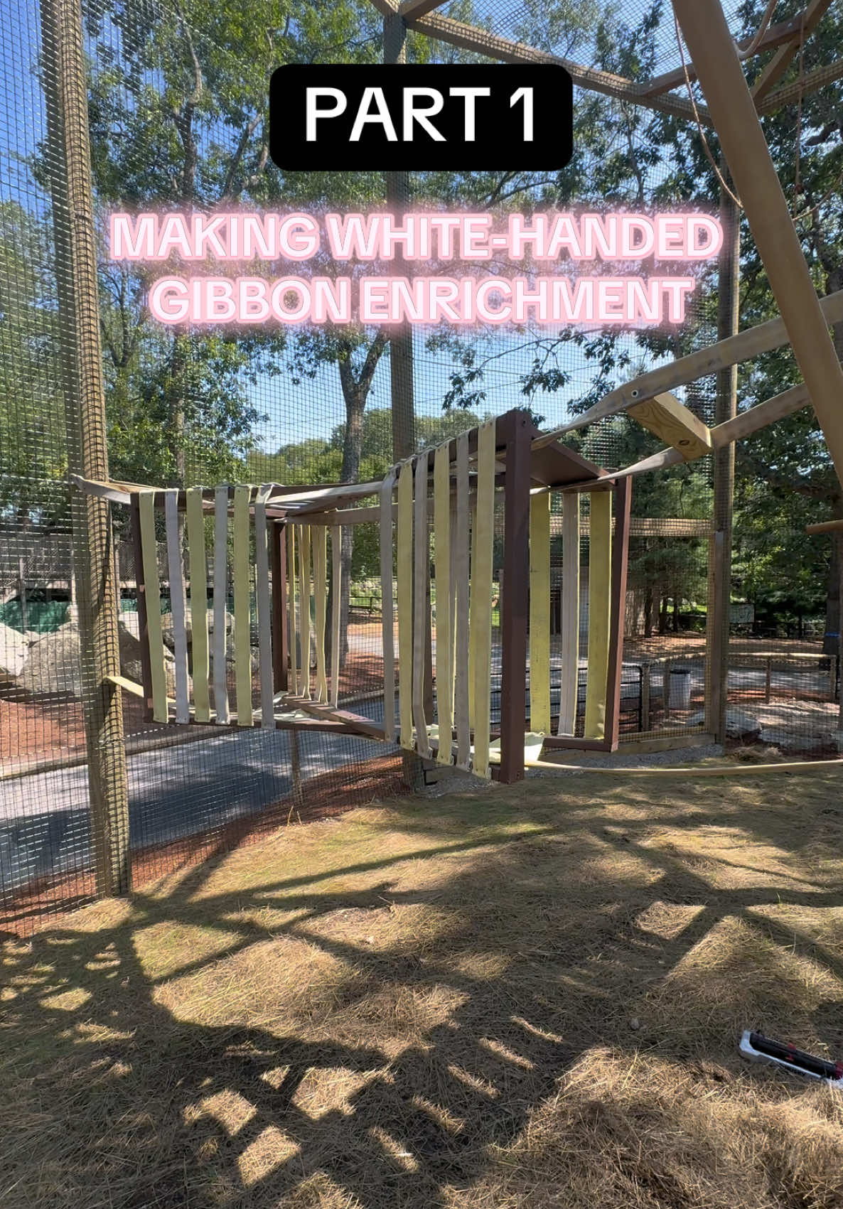 Part 1. Of this super cool, super fun zoo related series! #carpenter #creative #zookeeperlife 