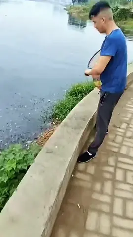 #mancing #fishing #viral #fyp 