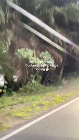 🤏