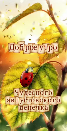 Доброе утро. Чудесного августовского денечка.. Счастливого дня #доброеутро #счастливогодня