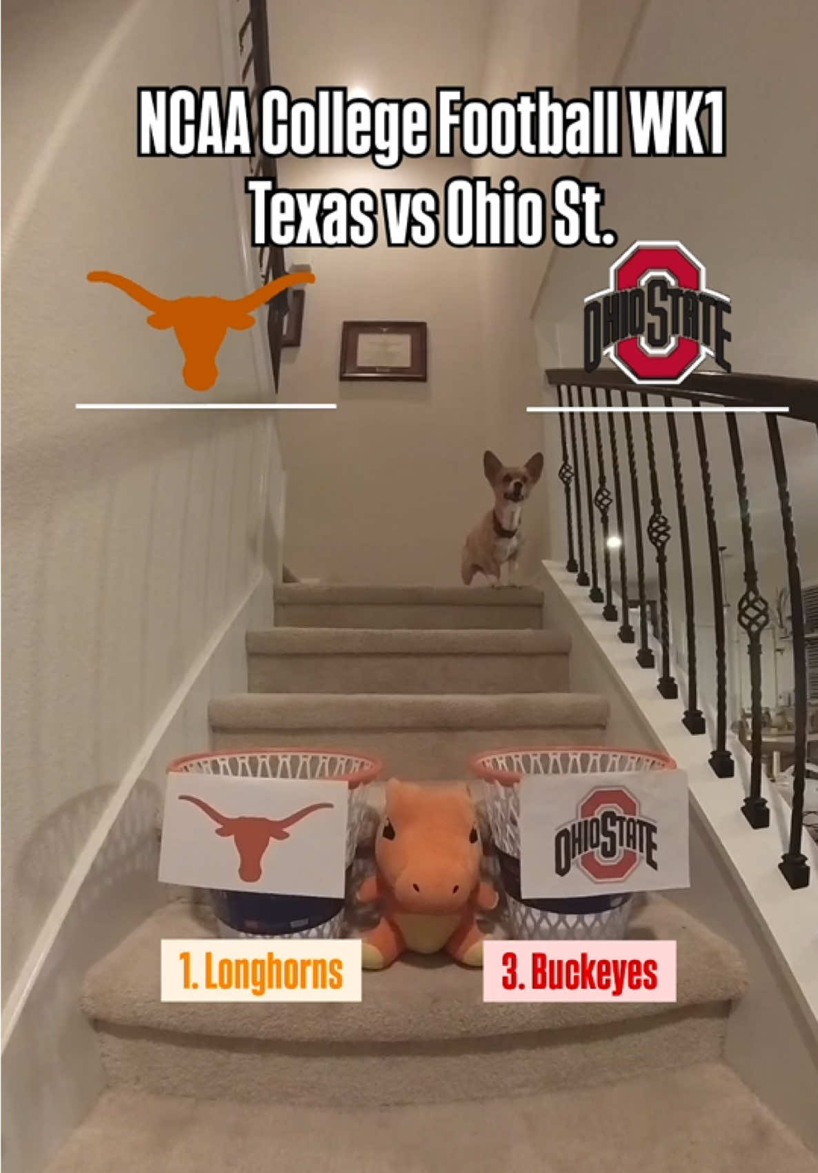 Texas Longhorns vs Ohio State Buckeyes, Revenge Game or Sweep Sweep? 🤷🏻‍♂️ #Texas #Longhorns #ohiost #buckeyes #college #football #ncaa #gameday 