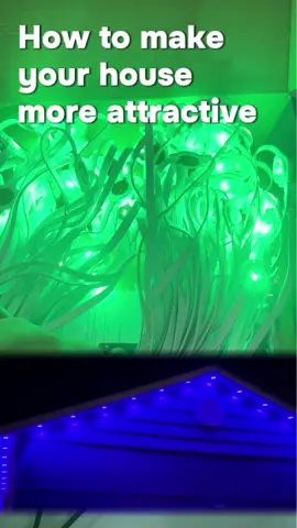 Permanent Outdoor RGB Lights,Waterproof Smart LED Eaves Lights with App/Remote Control,for Daily and Accent Lighting,House Roof and Garden Lighting#viral#DIY#outdoor#decorations#de#ledlight#RGBlight#foryou#Christmas#gift