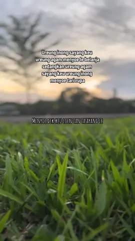 #aceh #laguaceh #laguacehviral #soundaceh #soundviral #acehviral #kupiahteukuumar #fypシ゚viral #fyppppppppppppppppppppppp 