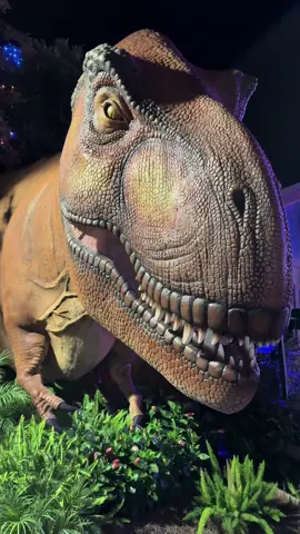 #theisland #pigeonforge #dinosaur #trex 
