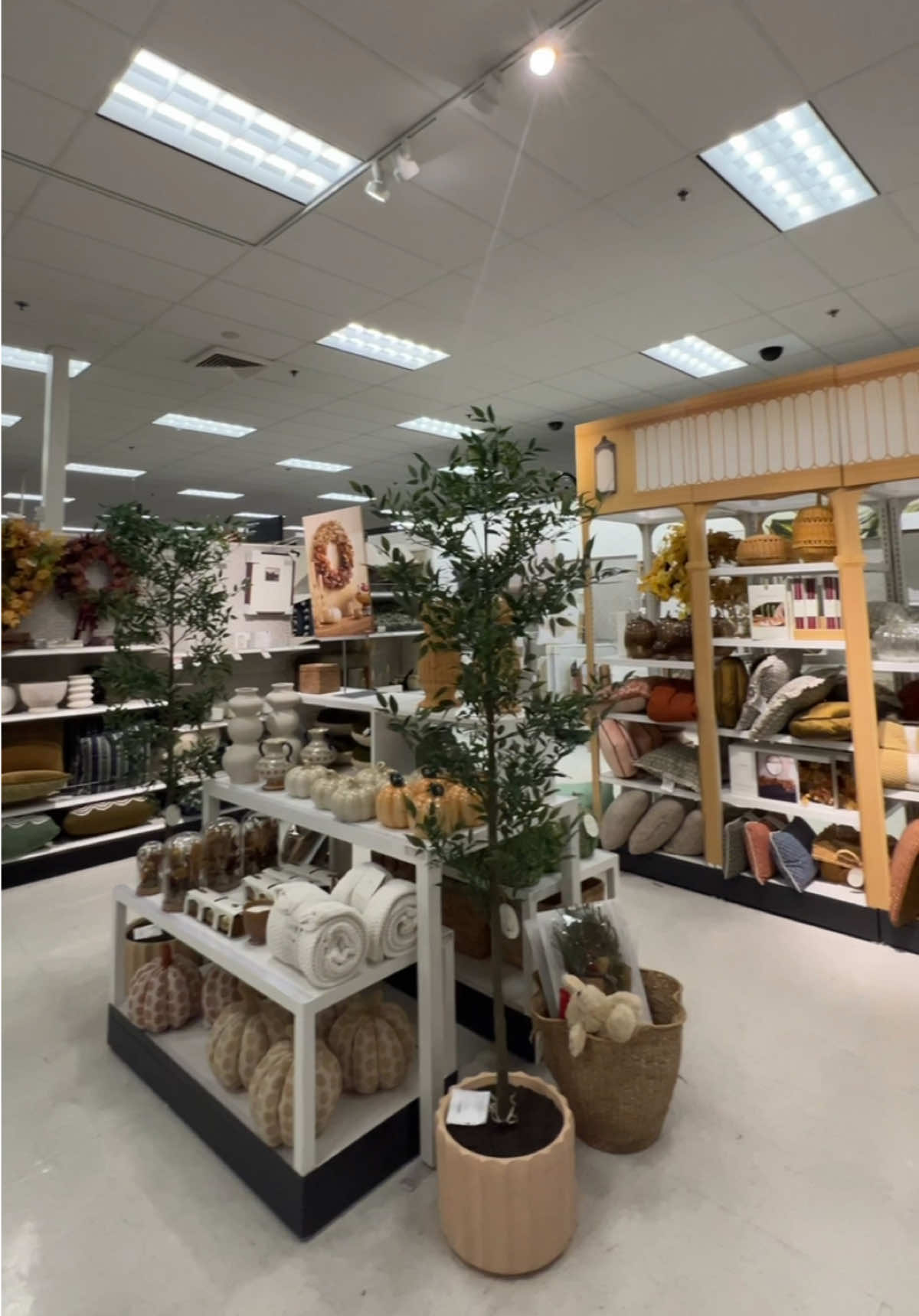Essentials restocked & got see so many cute fall items🥹🍂🍂✨ #targetrun #targetfinds #targethaul @target 