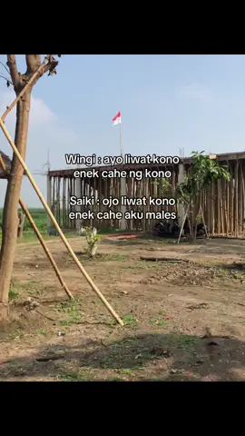 Kisahmu ngene gak cah? #jowostory #hoohtenan #fypシ 