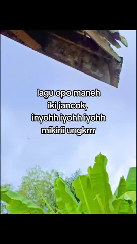 #4u #bissmillahfyp #bahanswmu #jowopride #masukberanda 