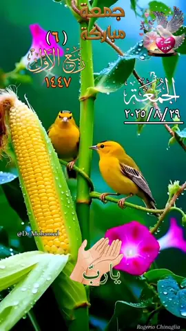 اللهم في يوم الجمعة  دعاء يوم الجمعه  دعاء صباح يوم الجمعة  #جمعة_مباركة_عالجميع #CapCut #islamic_video #دعاء_يوم_الجمعة #صباح_الخير 