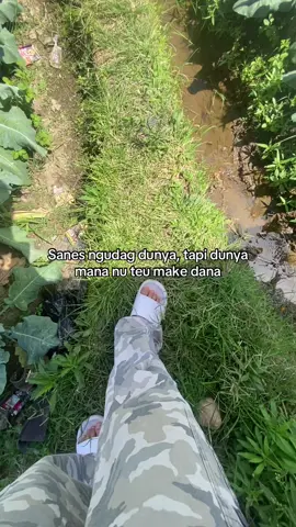 Tahh kitu #petani #petanimuda #petaniindonesia🇮🇩🇮🇩🇮🇩🌿🌿 #bismilahfyp 