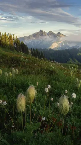 Last week on the mountain was magical. Here’s a photo I took when the light was just right, I hope you enjoy! #photography #Hiking #travel #mountains #nature 