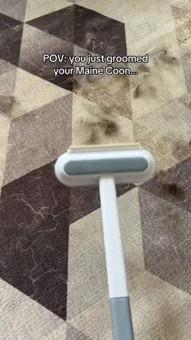All this hair after a 5 minute brush… if you have pets you need this pet hair remover 🙌🏻 #catsoftiktok #cathairremoval #pethairremover #pethairremoval #tiktokshopcreatorpicks 
