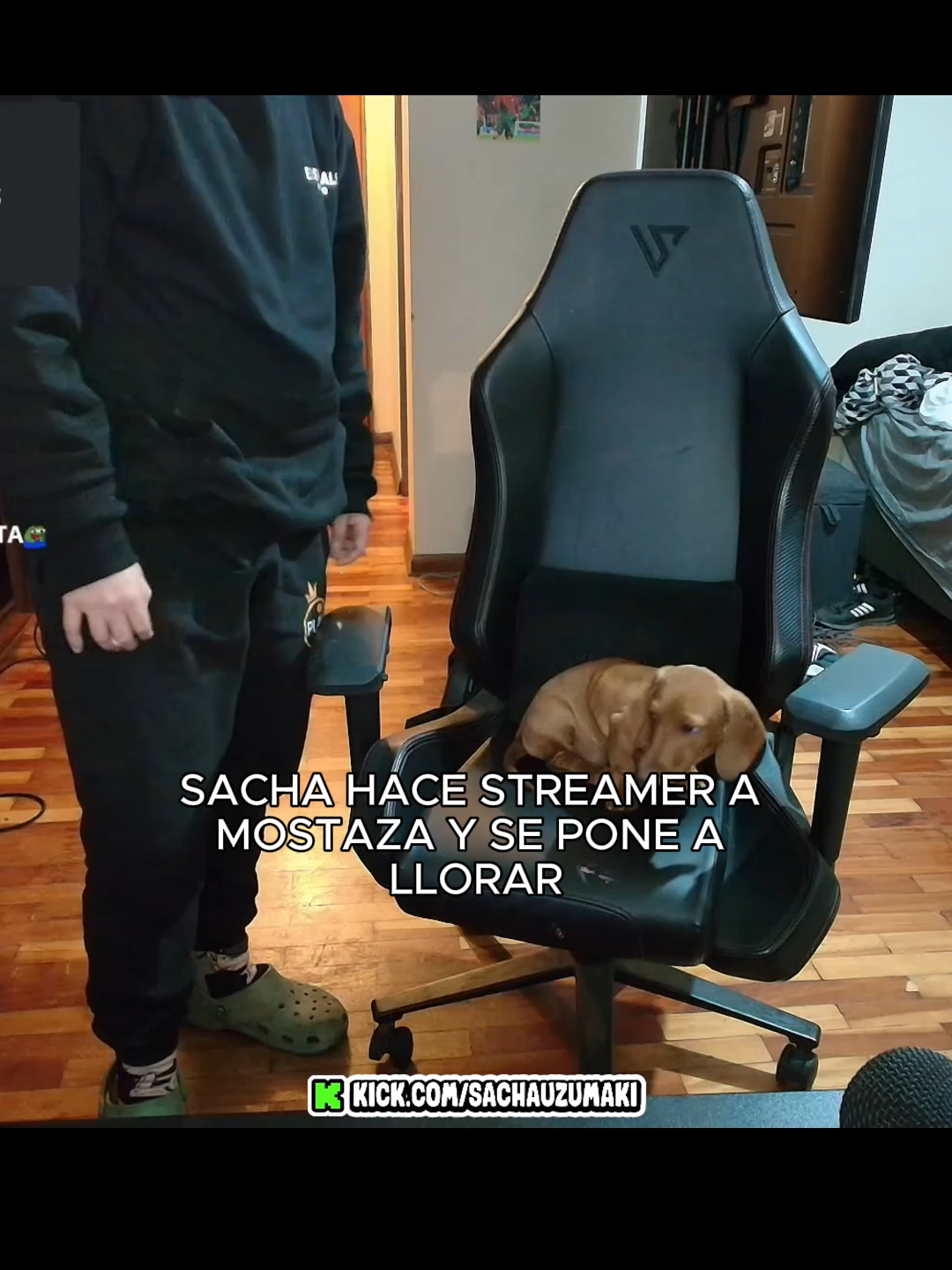 NO DURO NI UN DIA   #sachauzumaki #humor #kick #mascota