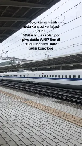 Sulipi tukang sogok ! #ternosontek #kenshuseijapan🇮🇩🇯🇵🎌 