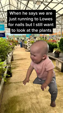 #gardeningtips #houseplants #houseplantsoftiktok #garden #gardening 