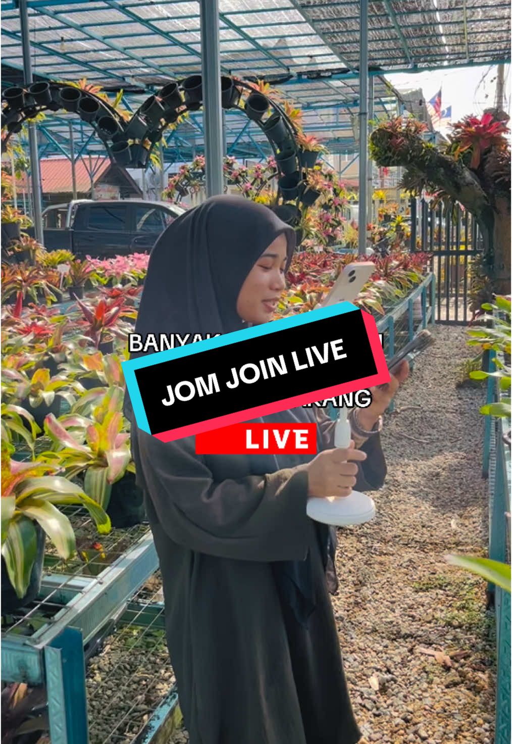 jom cuci mata dengan id yang baru sampai‼️😍#bromeliad #tamanbunga #fyp 