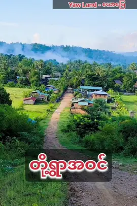 တို့ရွာအဝင် #ယောဆိုတာအဲသလိုရယ်ပါဗျာ  #အကြည်ဝါးဘင်းရွာ_ယောမြေ  #ဦးသန့်_ရှမ်းပြည်တောင်ပိုင်း_ရွှေဖီမိုးလွတ်လက်ဖက်ခြောက်  #လက်လီလက်ကားမှာယူရရှိနိုင်ပါသည်  #ဆက်သွယ်ရန်_09450259113_09790778072 
