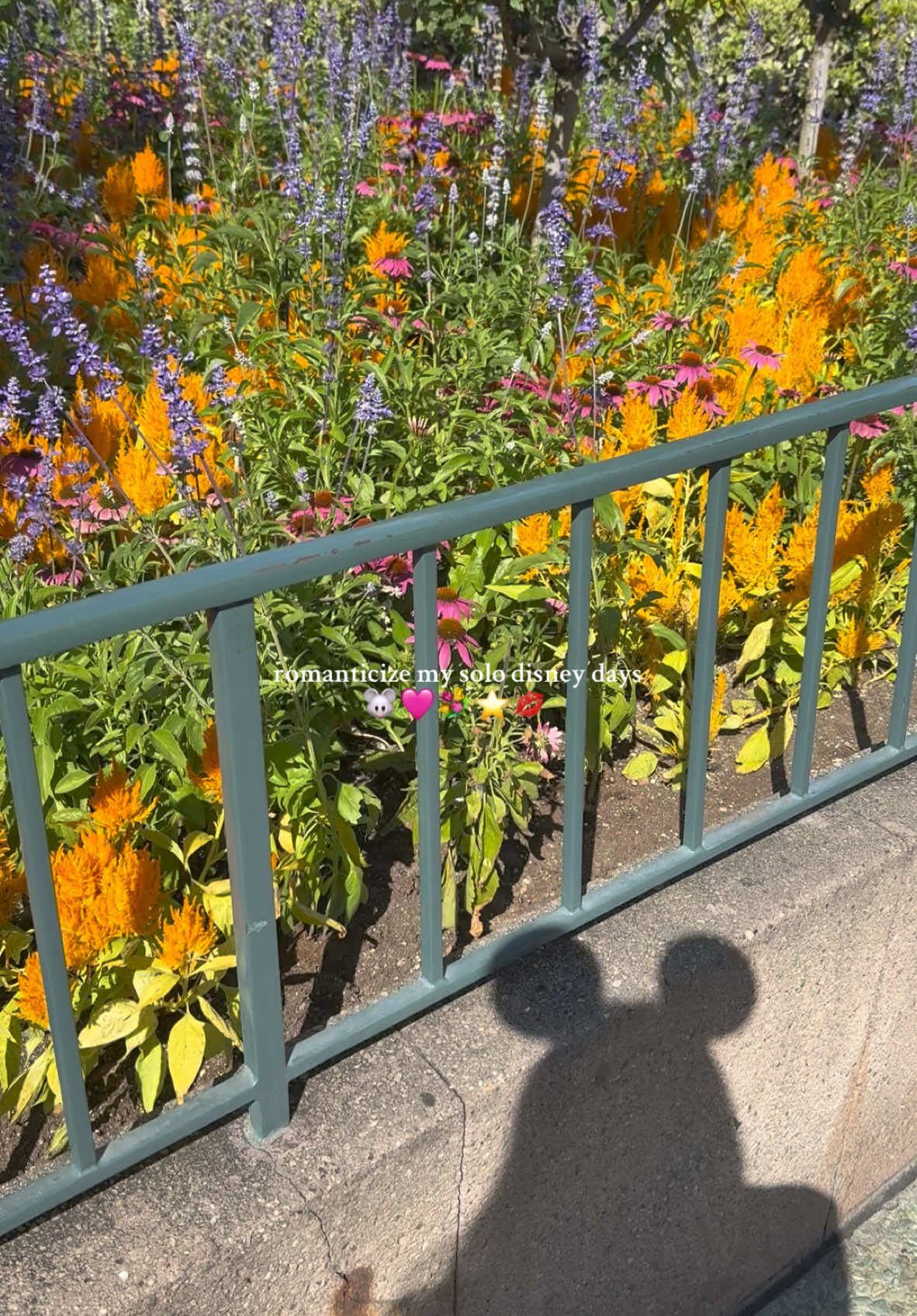 i actually love solo days 🩷 #disneycontentcreator #magickeyholder #foryou #solodisneyday #fypシ #disneyadult #disneytok #foryoupage #disneyparks #disneyland 