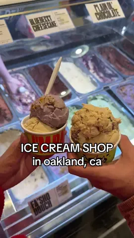 Lactose free ice cream?! Say less @Bad Walter’s Bootleg Ice Cream #icecream #oakland #rockridge #eastbay #bayareafoodies 