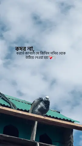 #foryou #fyp #viral 