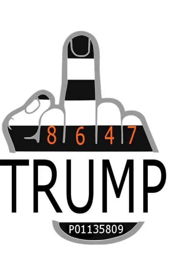 FDT 🖕🏻#fypage #fyp #fucktrump 