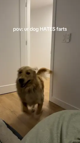fart (fake or not) = attack