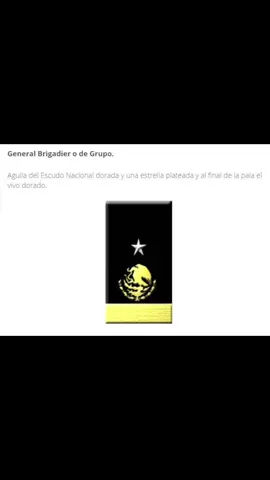 Conoce los grados del escalafón de #generales , este es el último escalón del #ejercitomexicano . Si quieres conocer más sobre ejércitos #sigueme 