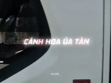 “Cánh hoa úa tàn” #ntt201_ #nguytoan #nhachaymoingay #xh 