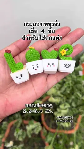 #กระบองเพชร #ดอกกระบองเพชร #ตุ๊กตาจิ๋ว #ตกแต่งบ้าน #ตกแต่งสวน 