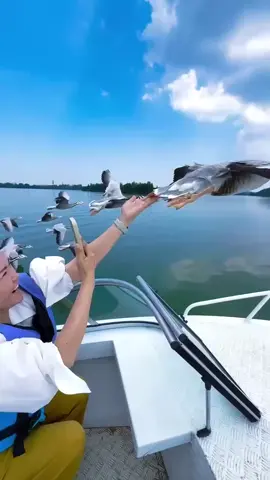 Video of the Day: A couple in a boat in #China found themselves right in the middle of a flock of #geese flying past. The birds were flying in such perfect formation that they didn’t even notice the people around them. They stayed on course and kept their formation, even when touched by hand. #funnyvideos #funnyvideo #tiktokviral 