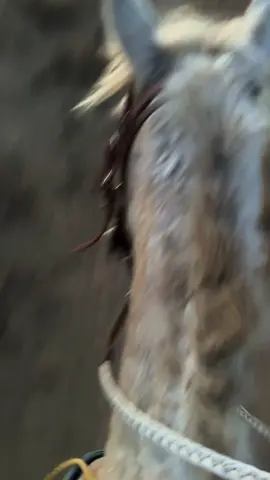 In the saddle is where I’m the happiest ❤️🤠 a timeless thrill. 