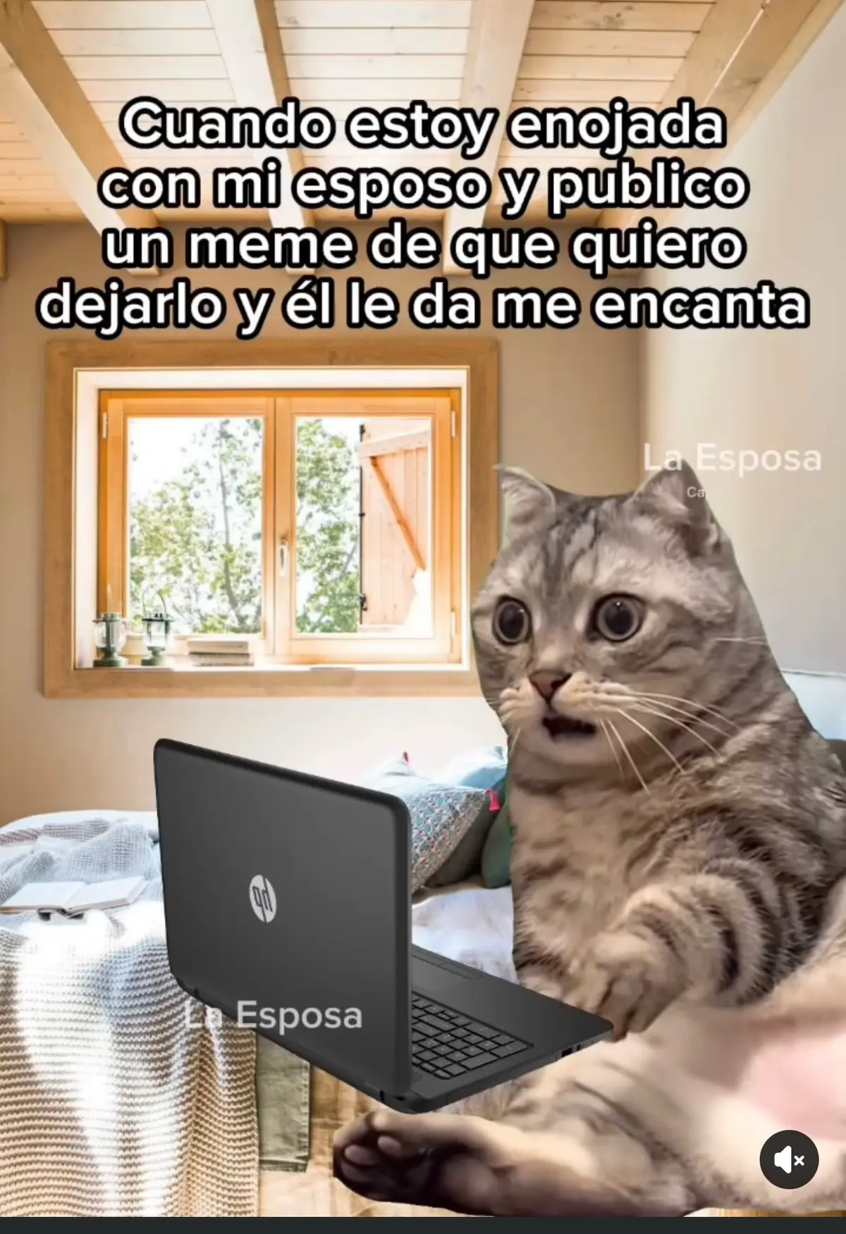 #comedia #viral #fyp #Amigos 