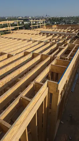 one blood construction #ahcut above  the rest 
