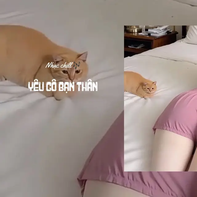 #nhachaymoingay #nhacnaychillphet #ndx #xuhuongtiktok #nhacvietremix 