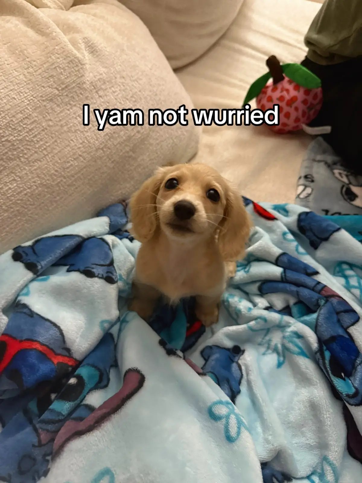 Winnie girl