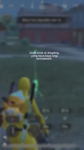 #quotespubg 