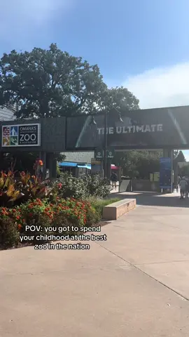Pretty much my second home.  #fyp #henrydoorlyzoo #omahane #omaha #zoo 