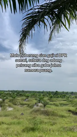 Idokan cess😭🤣. #batakgokil #fyp #trending #beranda #anggotadpr #abcxyz #bangsobatak #fypage #fyppppppppppppppppppppppp 