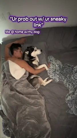 We just be napping away #husky #dogdad #singledad #huskylife 