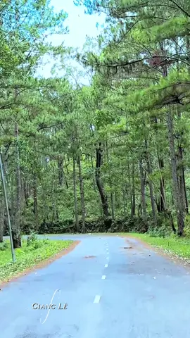 Có con đường Anh Chưa đi lại lần hai …#Da lat#