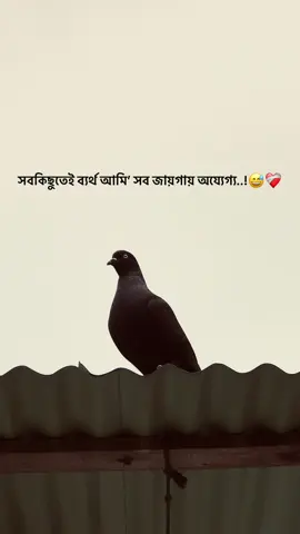 সবকিছুতেই ব্যর্থ আমি’ সব জায়গায়    অয্যেগ্য..!😅❤️‍🩹 #foryou  #the_spydoo 