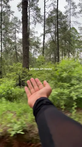 Lo mejor 🥰#naturevibes #trepacerros #travel #hadadelbosque #pazmental 