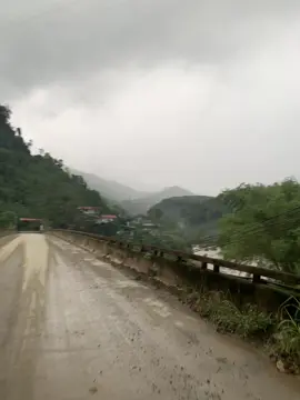 Mưa hoài 