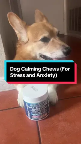 #fyp#dogcalmingchews#ashwagandha #ltheanine #magnesium@Clean Nutra 